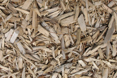 biomass boilers Fetterangus